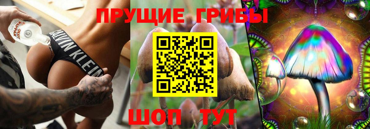 Псилоцибиновые грибы мицелий  Вход с VPN  Коряжма 